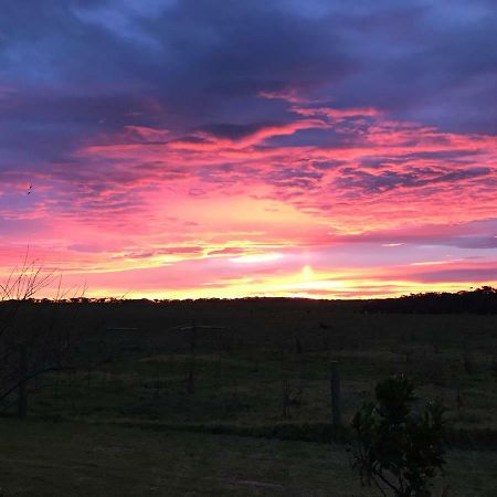Appartamento Langleys Port Campbell Hobby Farm Esterno foto