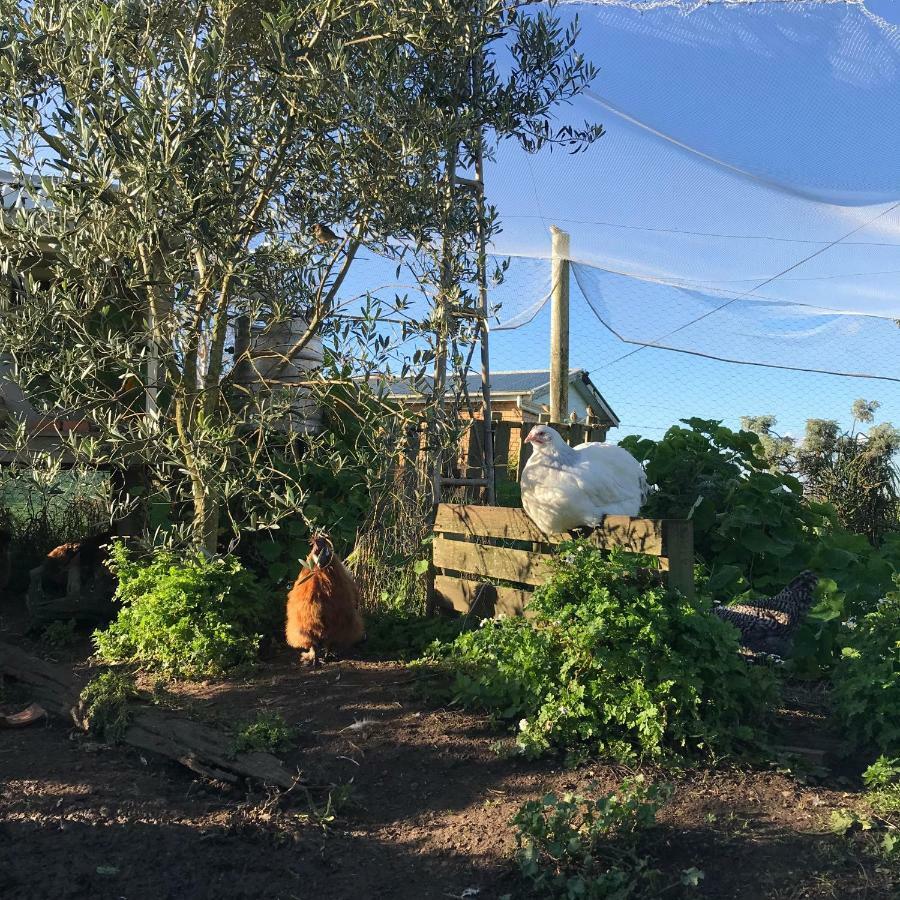 Appartamento Langleys Port Campbell Hobby Farm Esterno foto