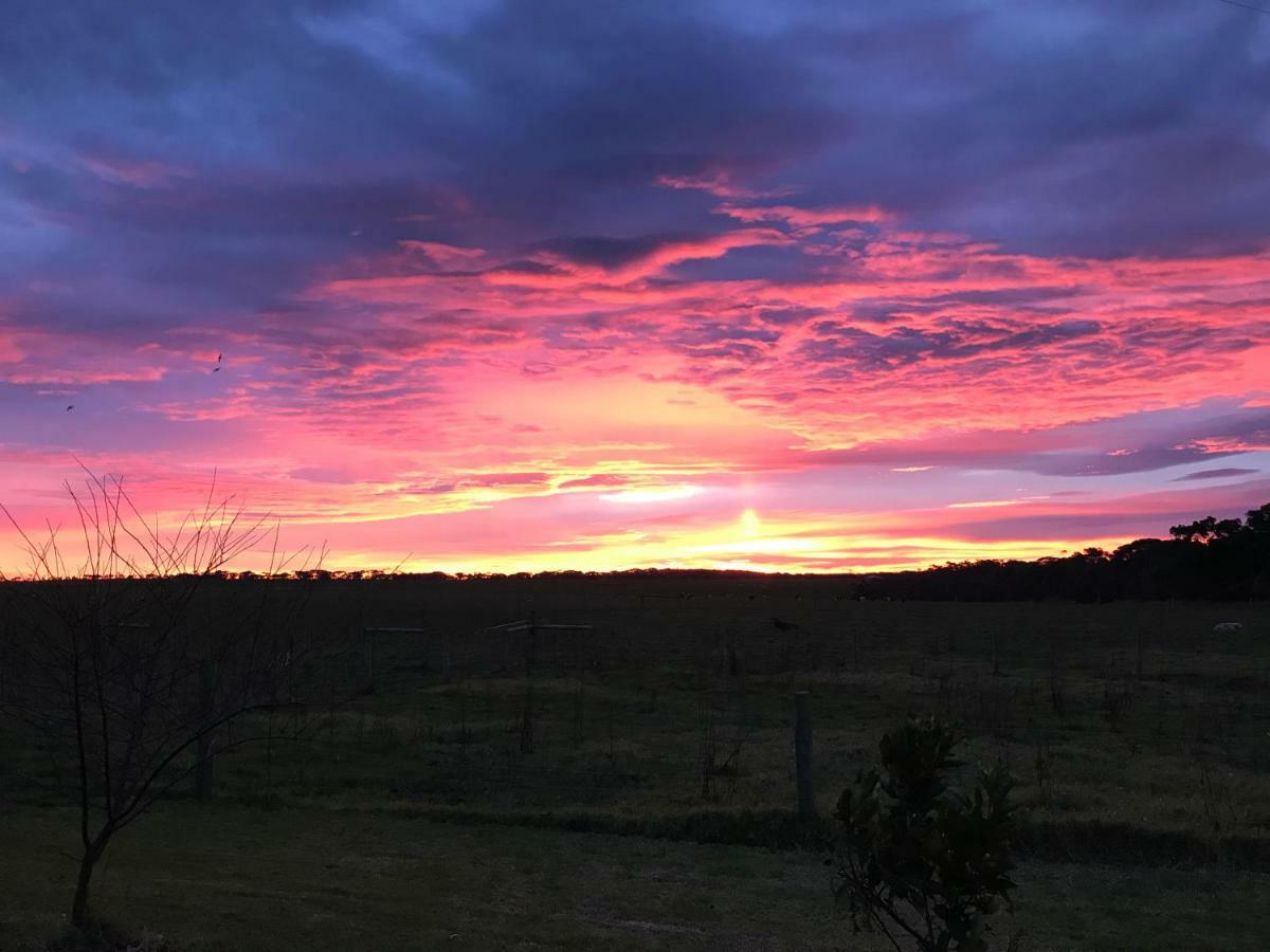 Appartamento Langleys Port Campbell Hobby Farm Esterno foto