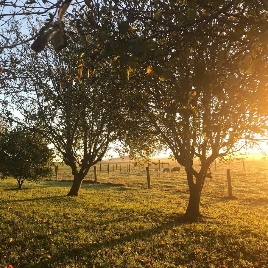 Appartamento Langleys Port Campbell Hobby Farm Esterno foto